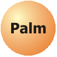 Zur Palm-Seite (Palm-Losungen)